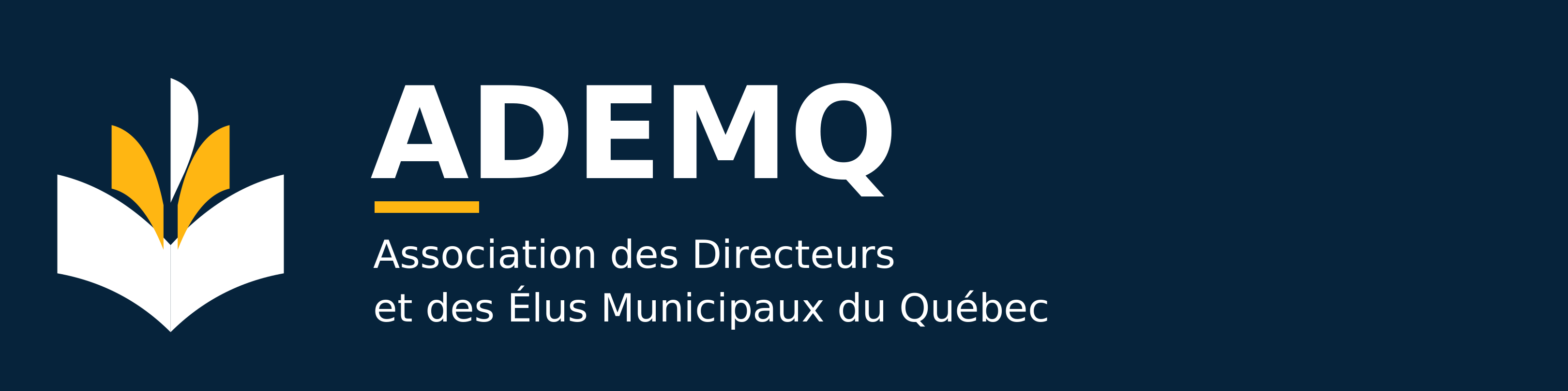Association des directeurs et des élus municipaux du Québec (ADEMQ)
